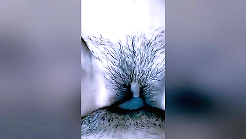 Full Hd Video Of My Stepsister-in-law Having Sex Without Condom