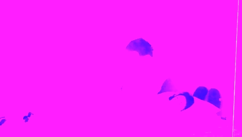 Indian amateur sex video showing a tie and a dildo