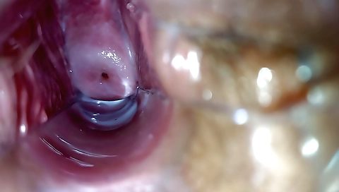 Stunning solo amateur with a huge pussy on a dildos