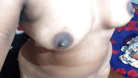 Desi Telugu Aunty Romantic Hottest Talk Telugu Aunty Masturbation Sex